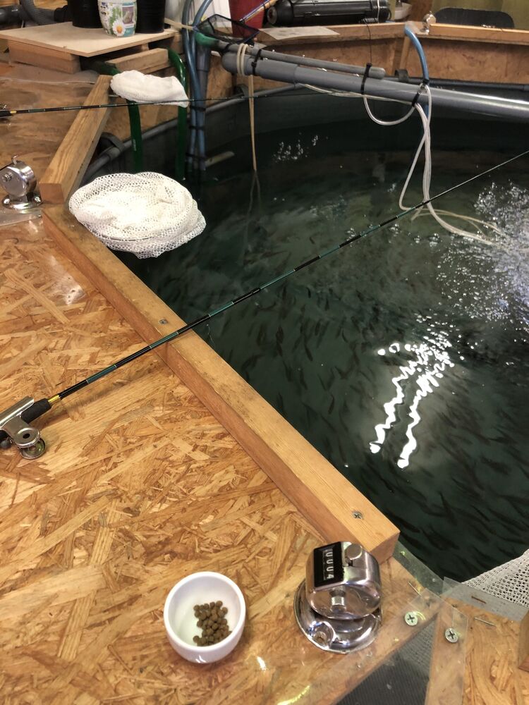ブログ